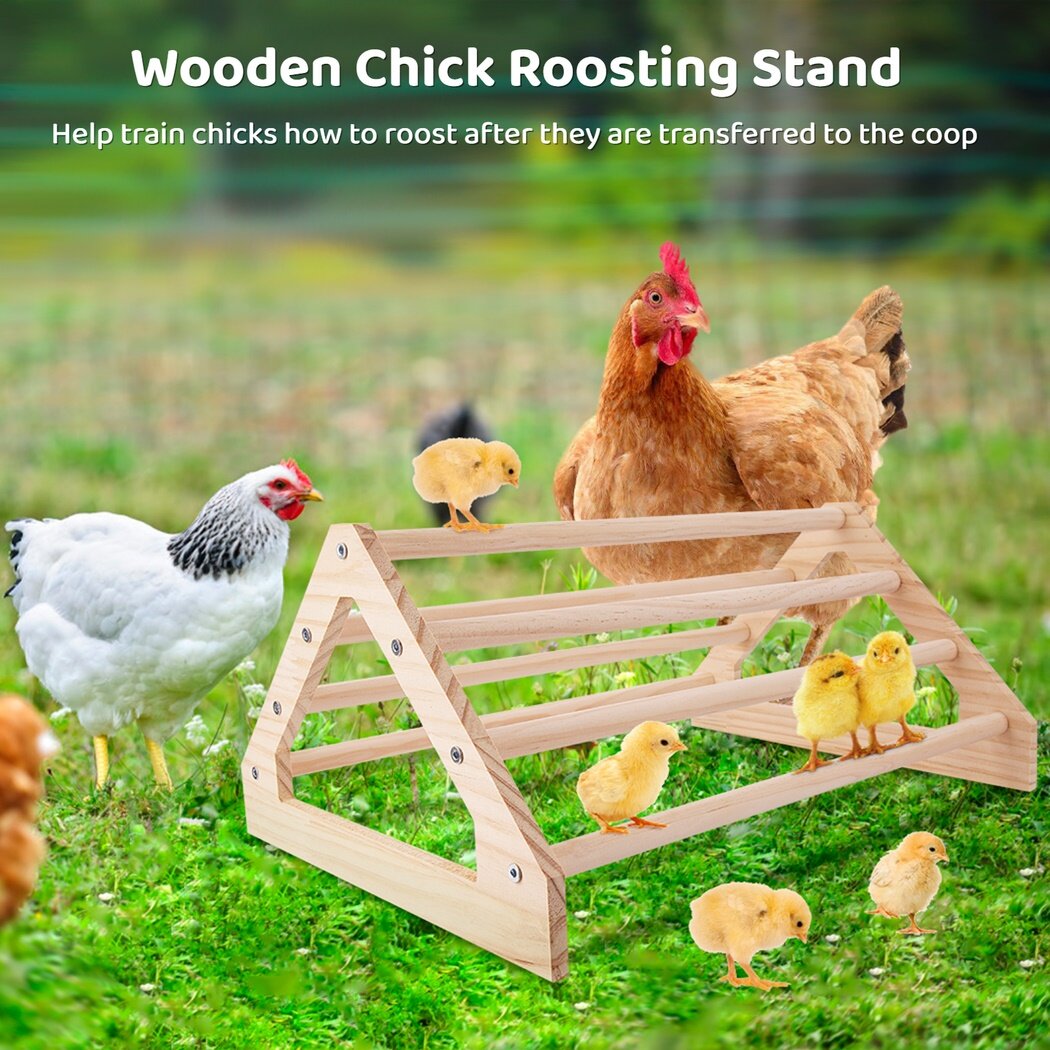 Wooden Chick Perch, Chick Stand Training Perch, Wood Chicken Roosting Bar for Entertainment, Chick Jungle Gym Perch Toy for Coop & Brooder, 14.75 x 10.75 x 7.25¡¯¡¯